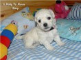 /album/aimy/a1-jpg/