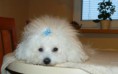 /album/aimy/p1270165-jpg/